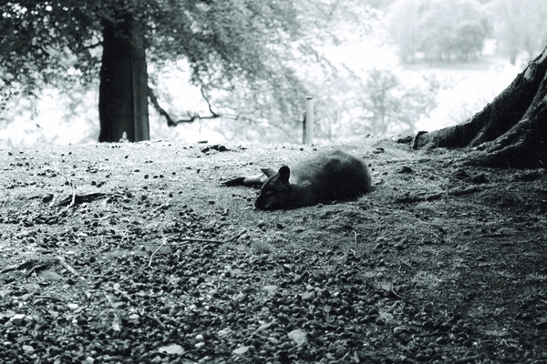 Free Introductory Sessions